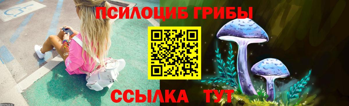 Галлюциногенные грибы прущие грибы  Вход с VPN  Новозыбков 